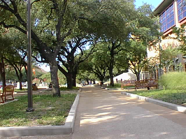 Click for the next image