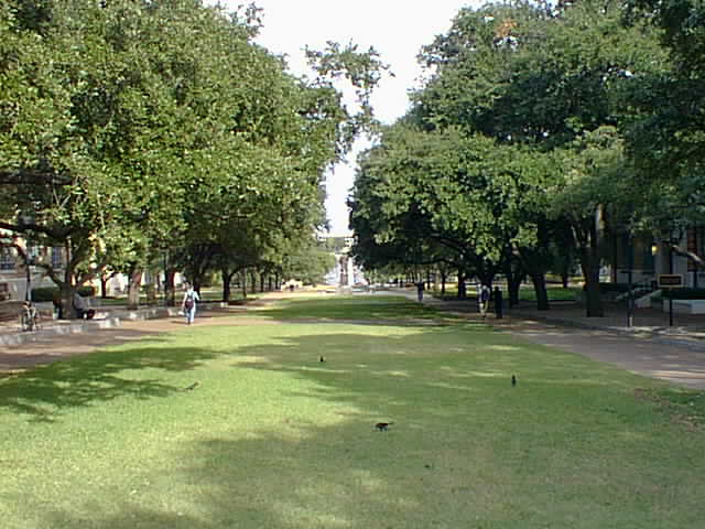 Click for the next image