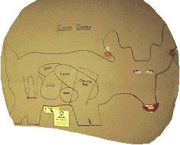 Click for the next image