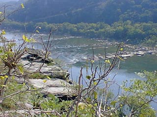 Click for the next image