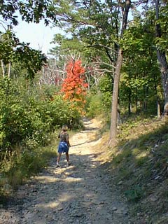 Click for the next image