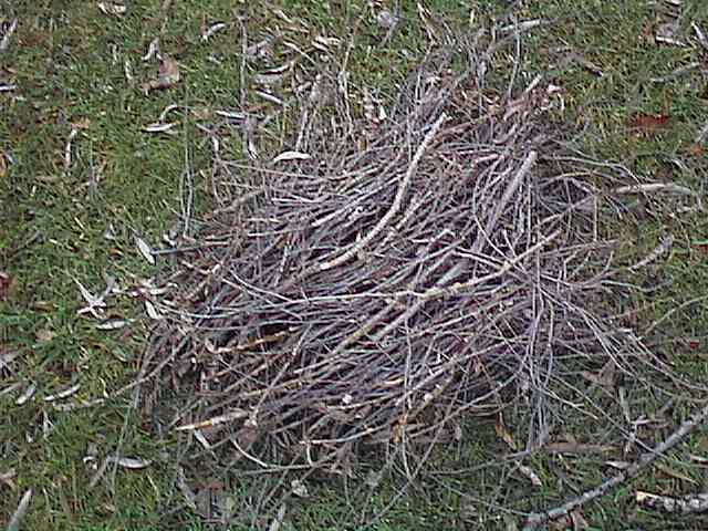 Click for the next image