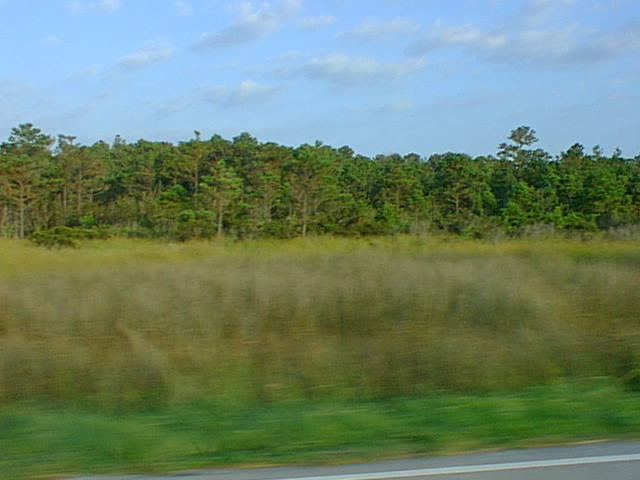 Click for the next image