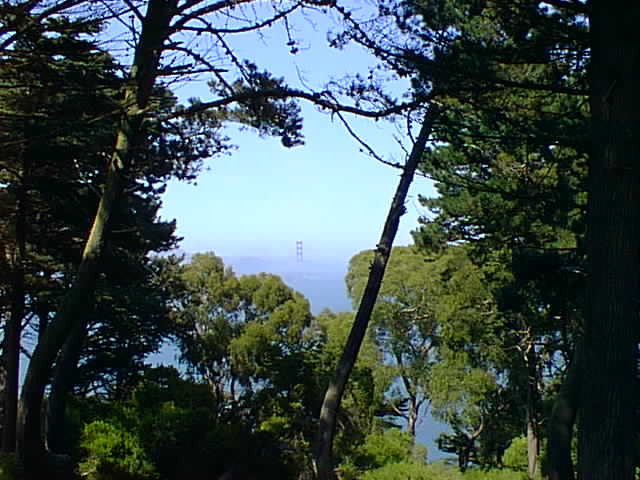 Click for the next image