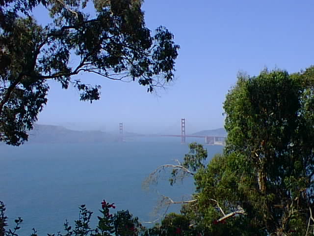 Click for the next image