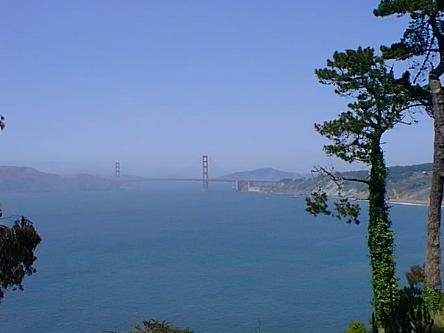 Click for the next image