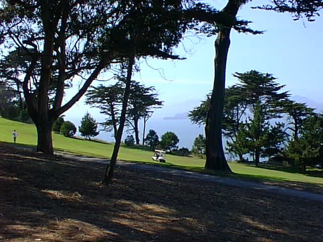 Click for the next image