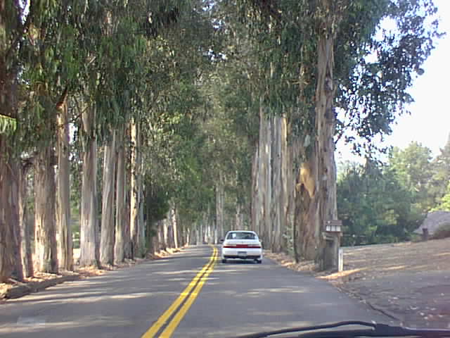 Click for the next image