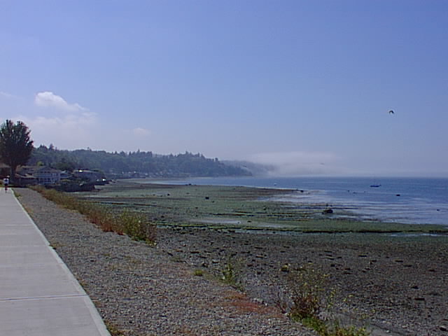 Click for the next image