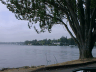 Lake Washington