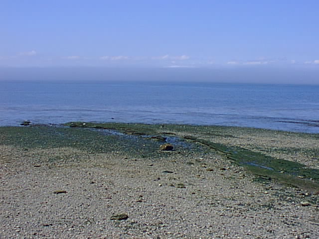 Click for the next image