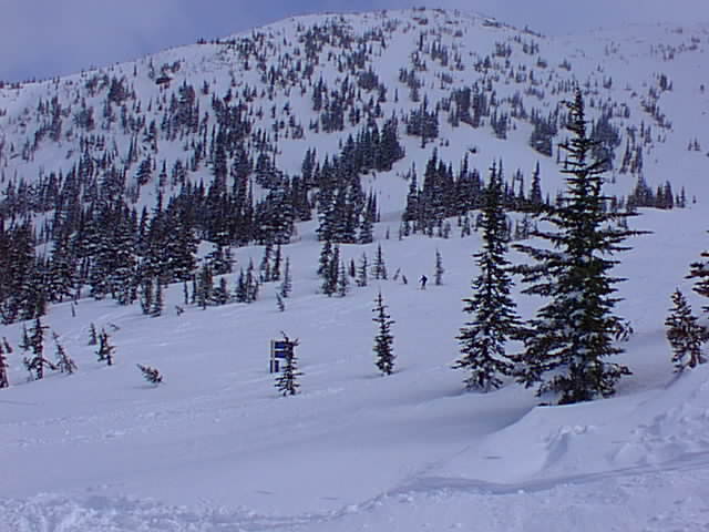 Click for the next image