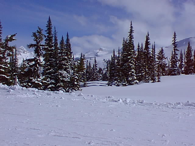 Click for the next image