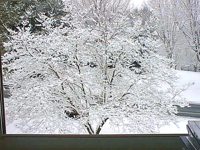 Click for the next image