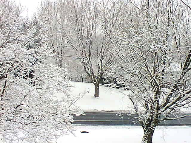 Click for the next image