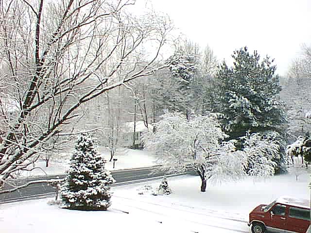 Click for the next image