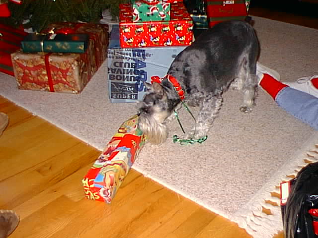 Click for the next image